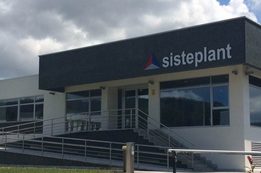 Sisteplant 34307