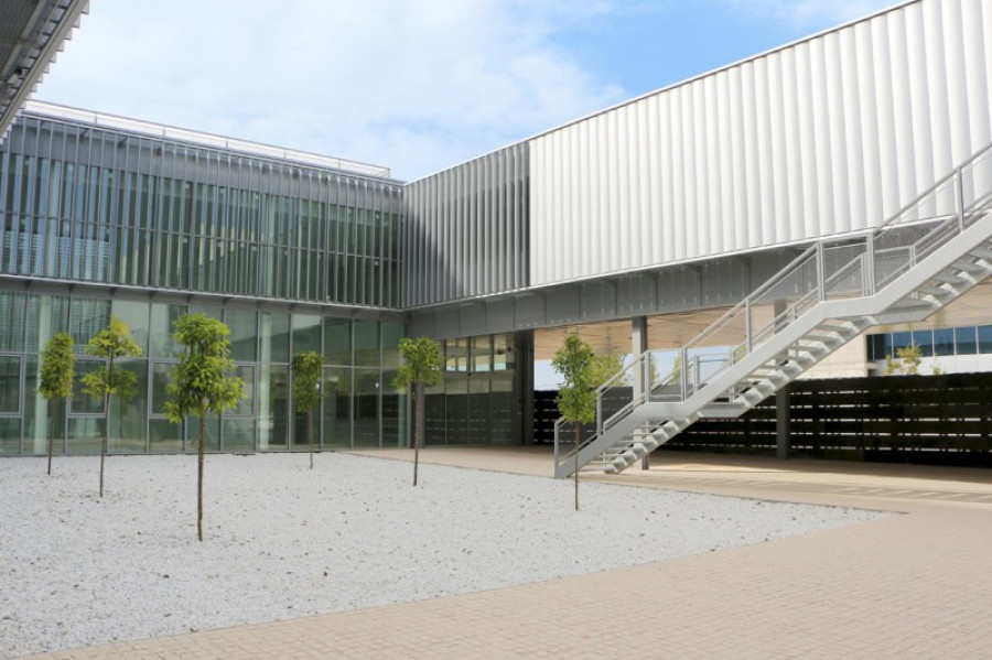 Campus linares 27118