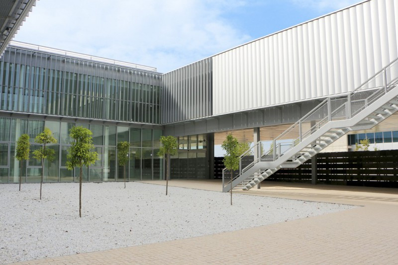 Campus linares 27118