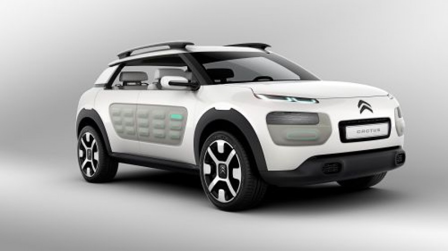 Cactus citroen 8005