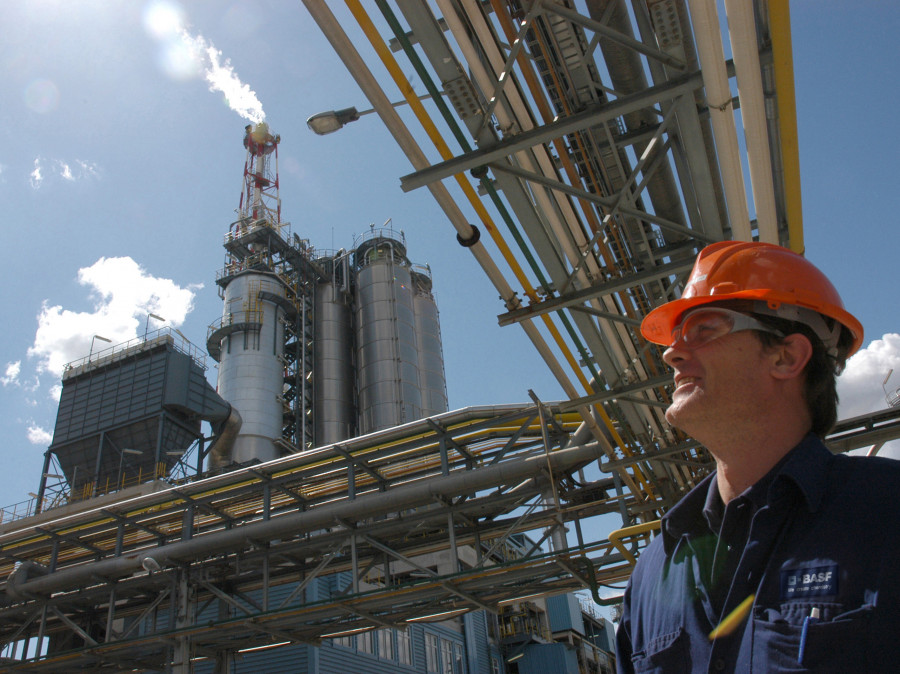 BASF HIDROGEL