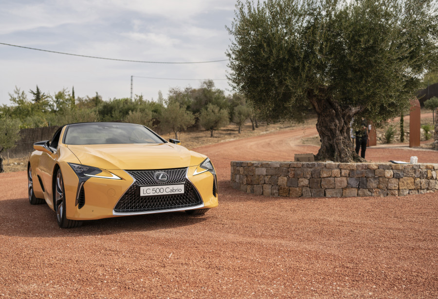 LEXUS CABRIO
