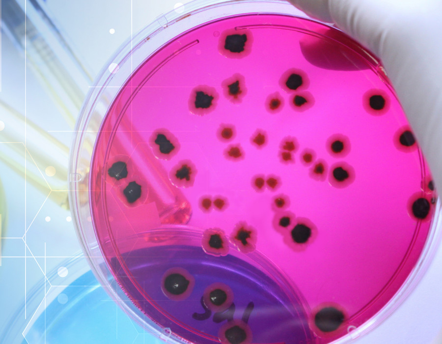 Biozidrichtlinie
