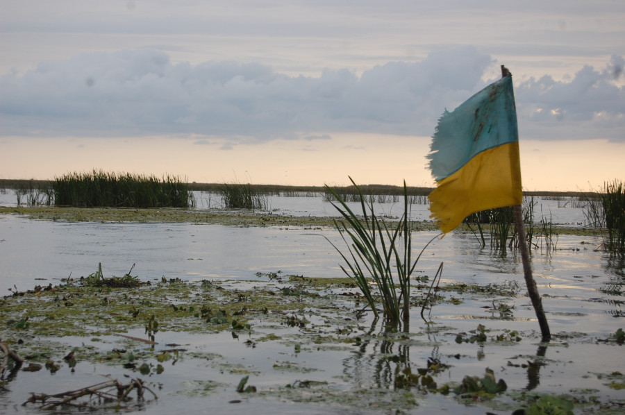 Sea water nature marsh swamp winter 692889 pxhere