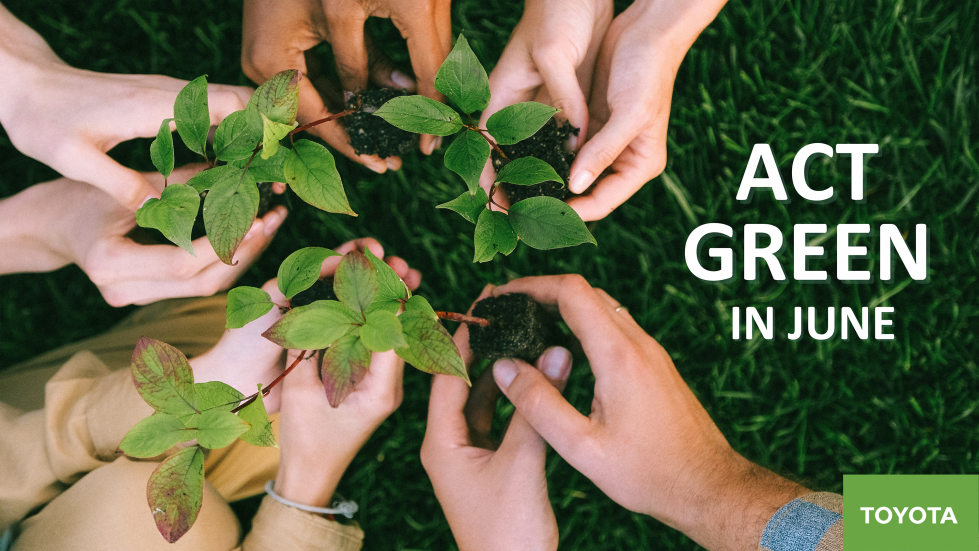 Actgreeninjune11