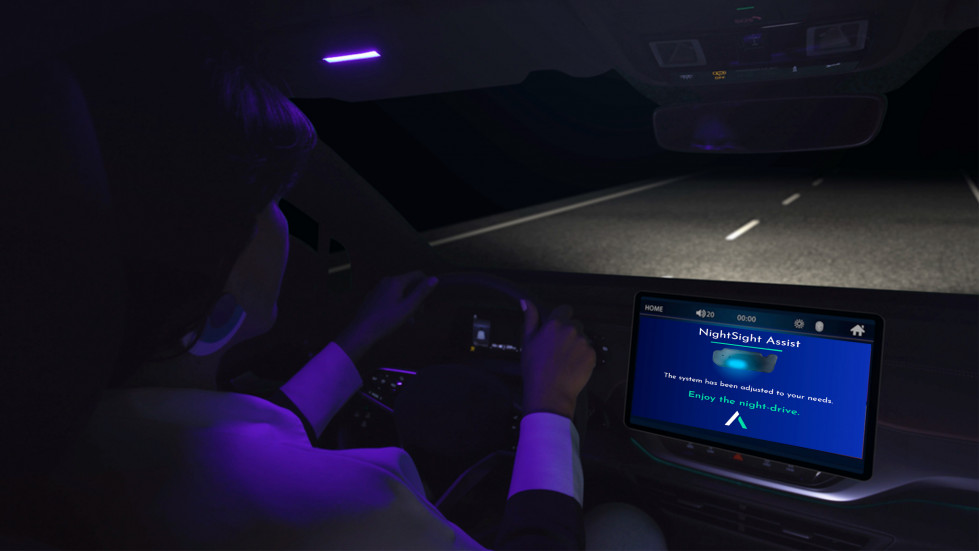 NightSight Assist Antolin